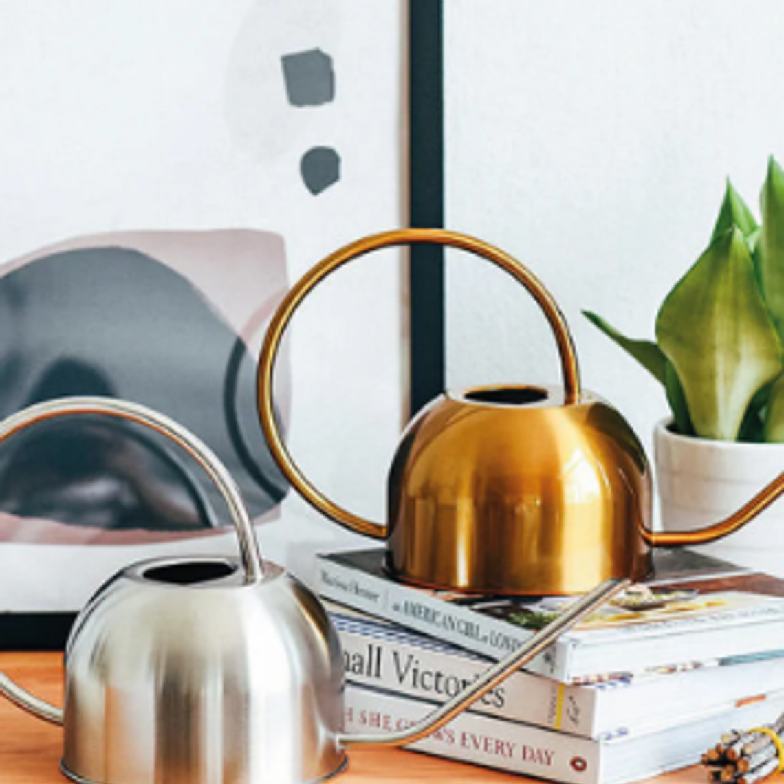 REGADERA BERNA SILVER 3