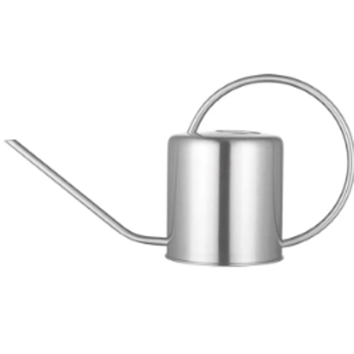 REGADERA CONGO SILVER 1