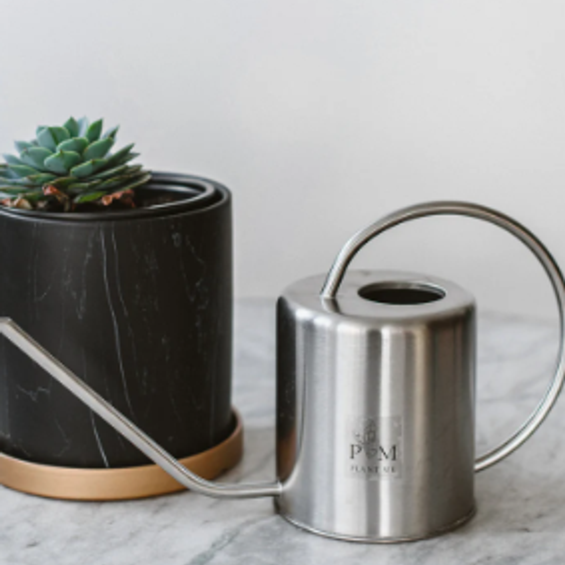 REGADERA CONGO SILVER 2