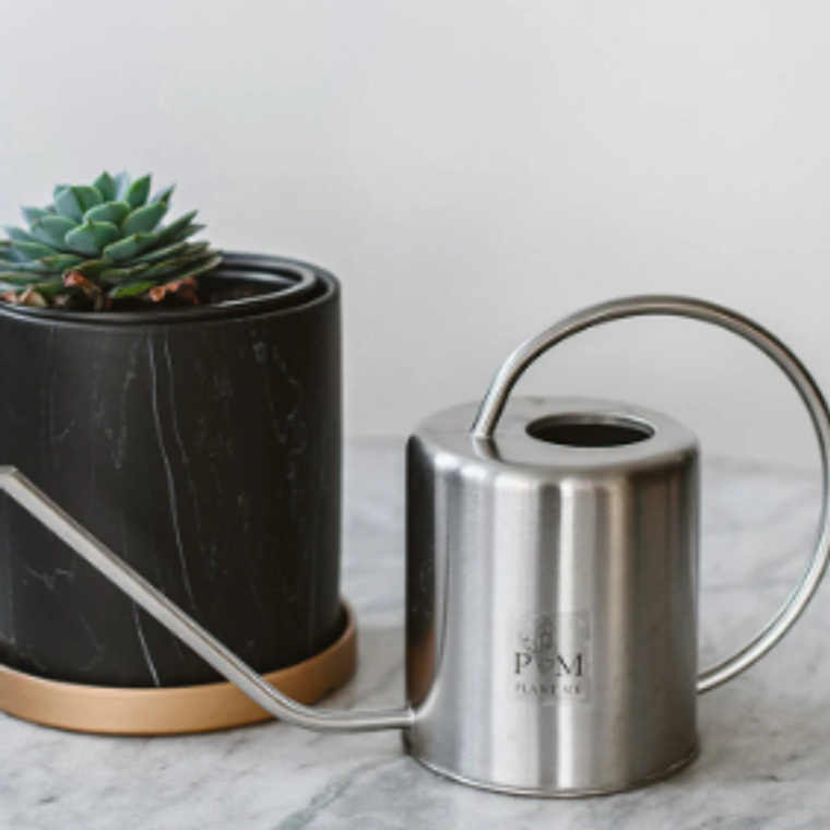 REGADERA CONGO SILVER 2