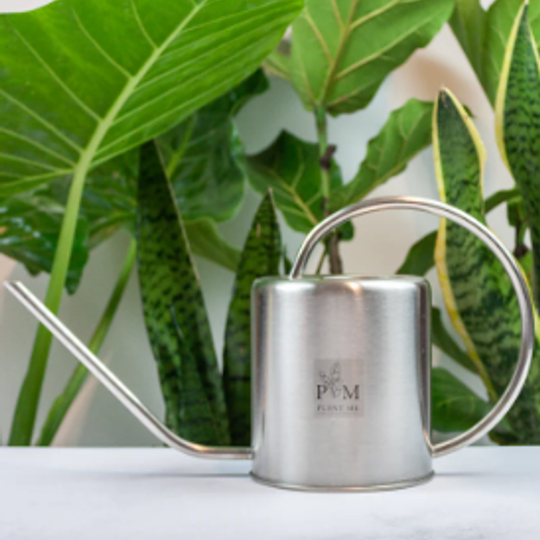 REGADERA CONGO SILVER 3