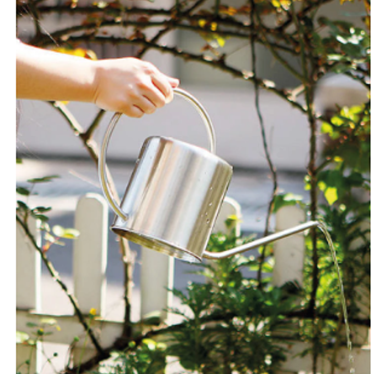 REGADERA CONGO SILVER 4