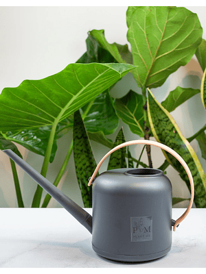 REGADERA ROMA GRIS (1.5 L)