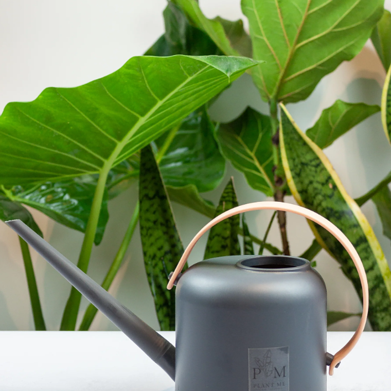 REGADERA ROMA GRIS 1