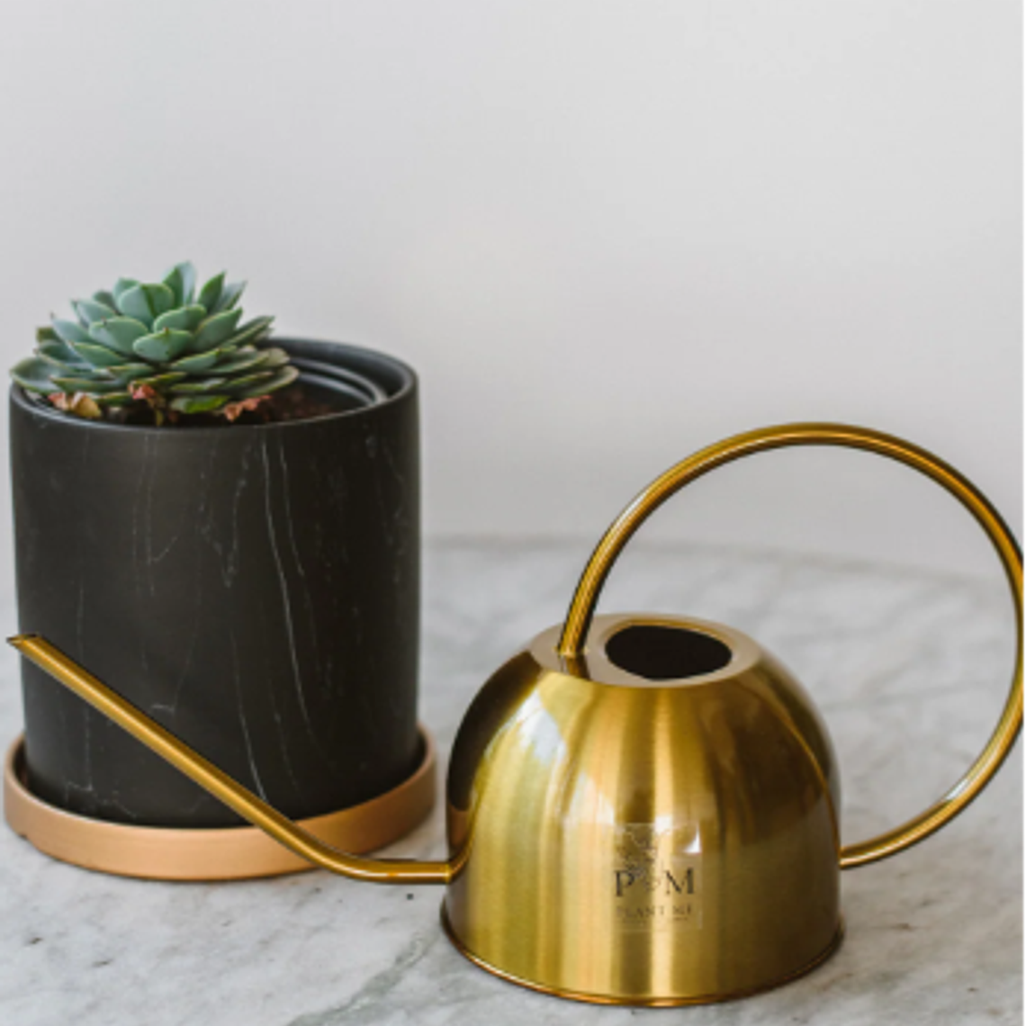 REGADERA BERNA GOLD 3