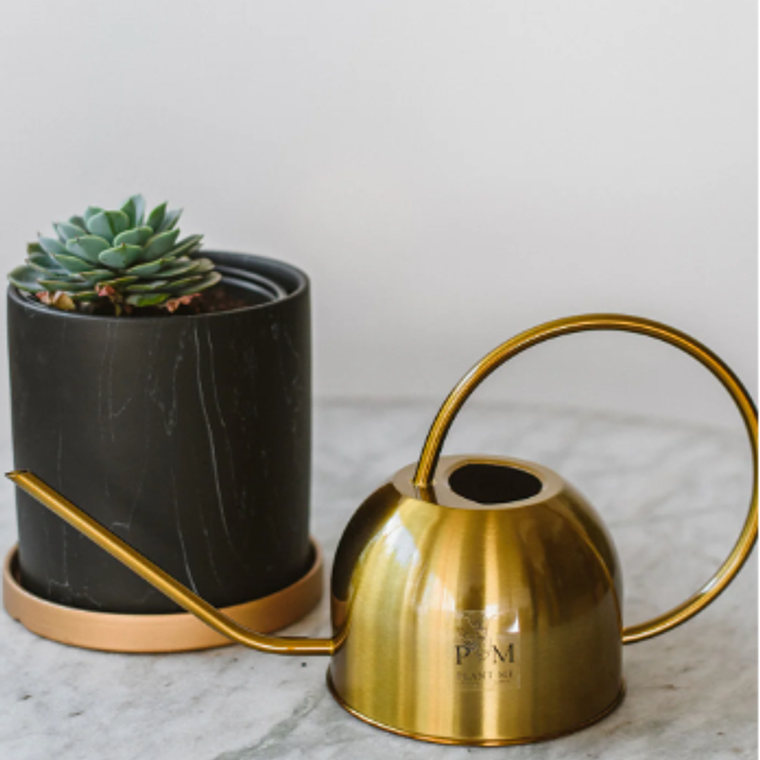 REGADERA BERNA GOLD 3