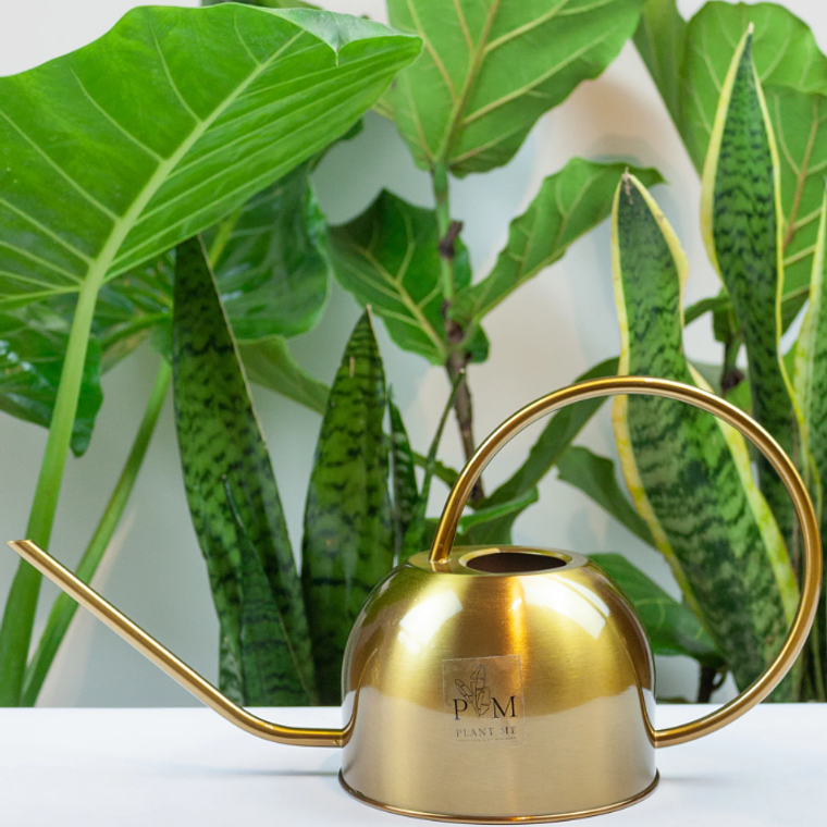 REGADERA BERNA GOLD 4