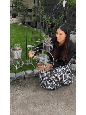 TRICICLO OXFORD (23x11x18cm)