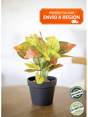 CROTONS ECO SINTETICA 22 CM 
