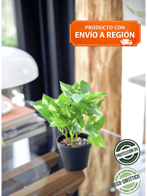 POTHUS ECO SINTETICA 25 CM 