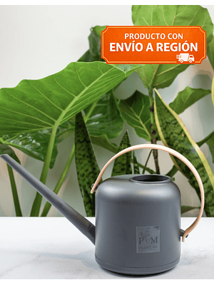 REGADERA ROMA GRIS (1.5 L)