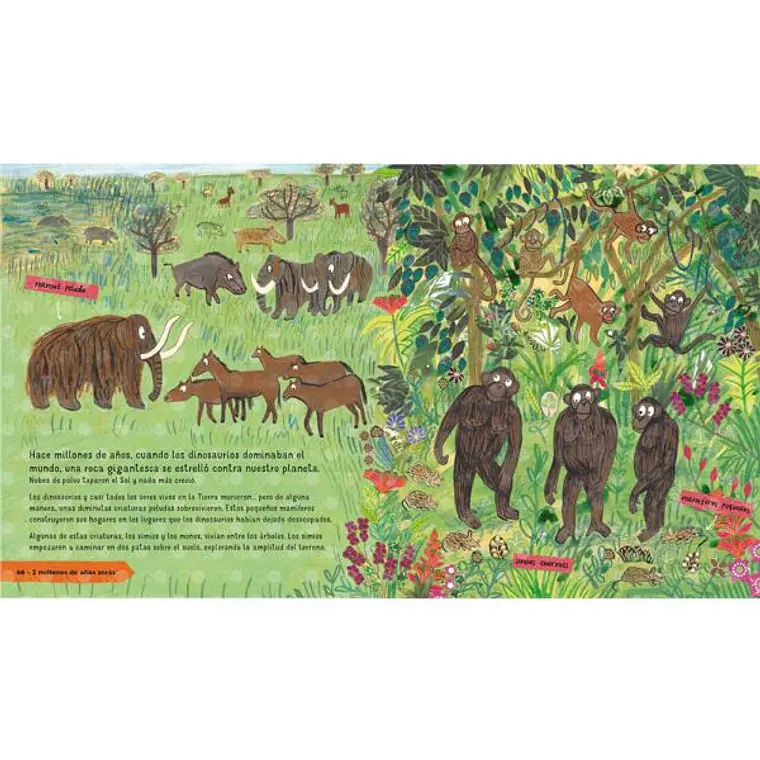 LA HISTORIA DE LAS PERSONAS / BARR, CATHERINE; WILLIAMS, STEVE 2