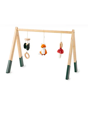 ARCO DE ACTIVIDADES BOSQUE