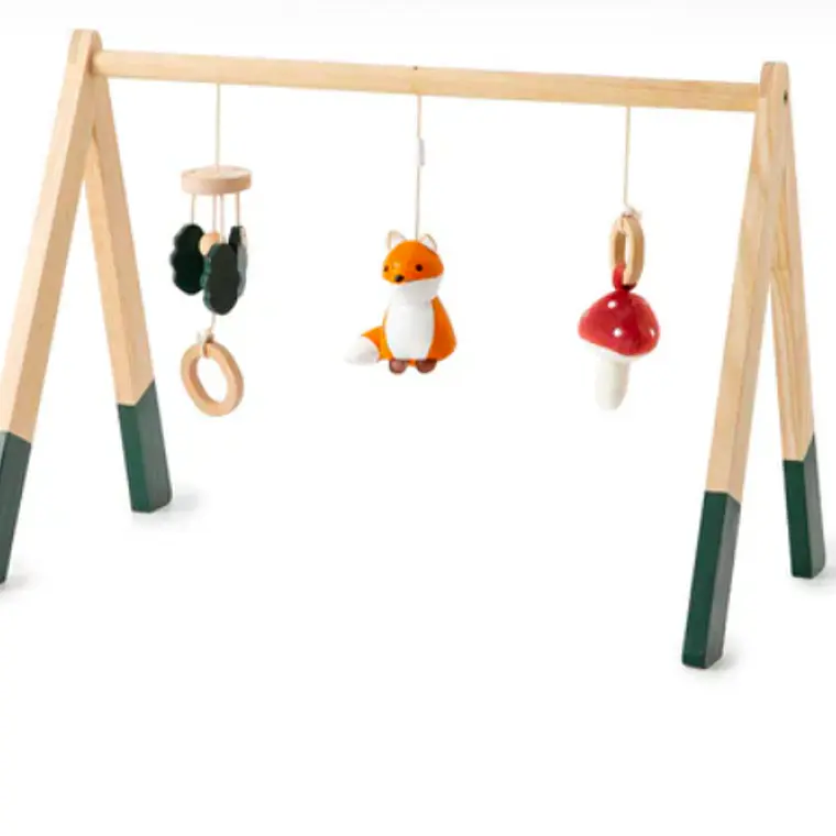 ARCO DE ACTIVIDADES BOSQUE 2