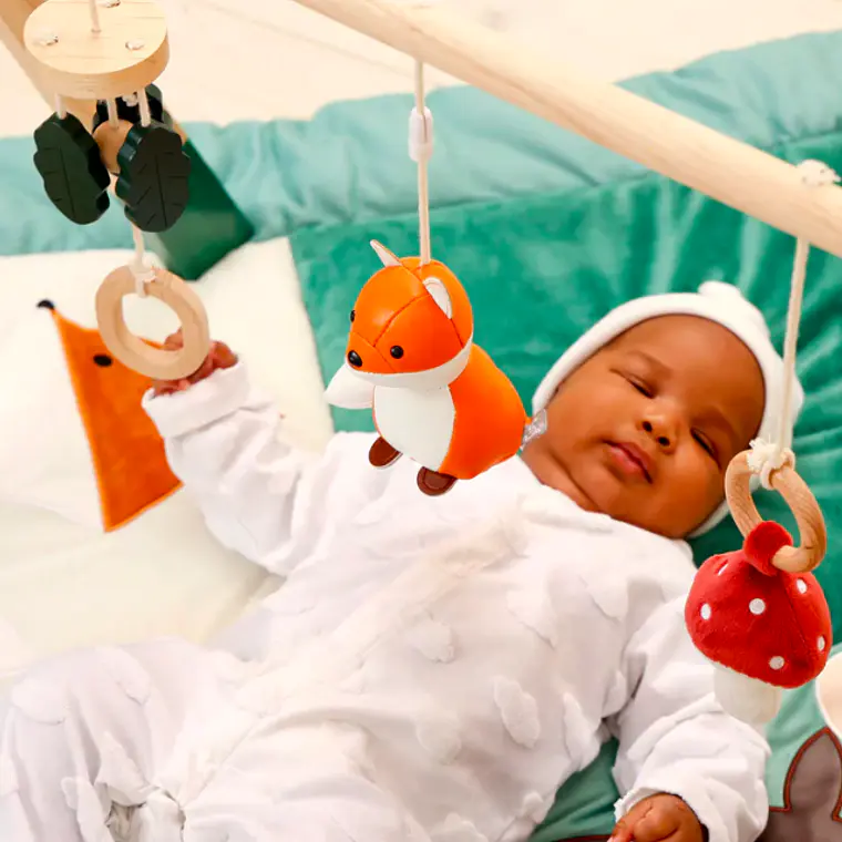 ARCO DE ACTIVIDADES BOSQUE 5