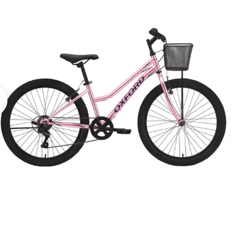 BICICLETA INFANTIL LUNA ARO 24