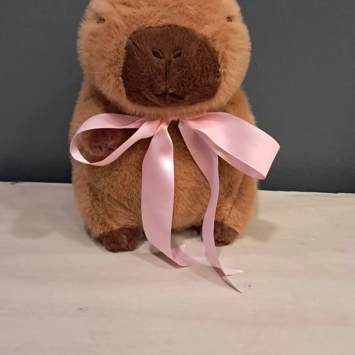 PELUCHE CAPIBARA TALLA M - NIÑA 1