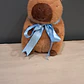 PELUCHE CAPIBARA TALLA M - NIÑO - Miniatura 1