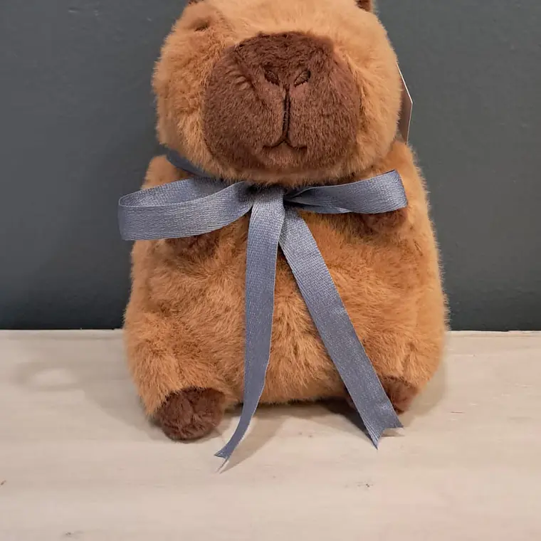 PELUCHE CAPIBARA TALLA M - UNISEX 1