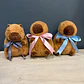 PELUCHE CAPIBARA TALLA M - UNISEX - Miniatura 2