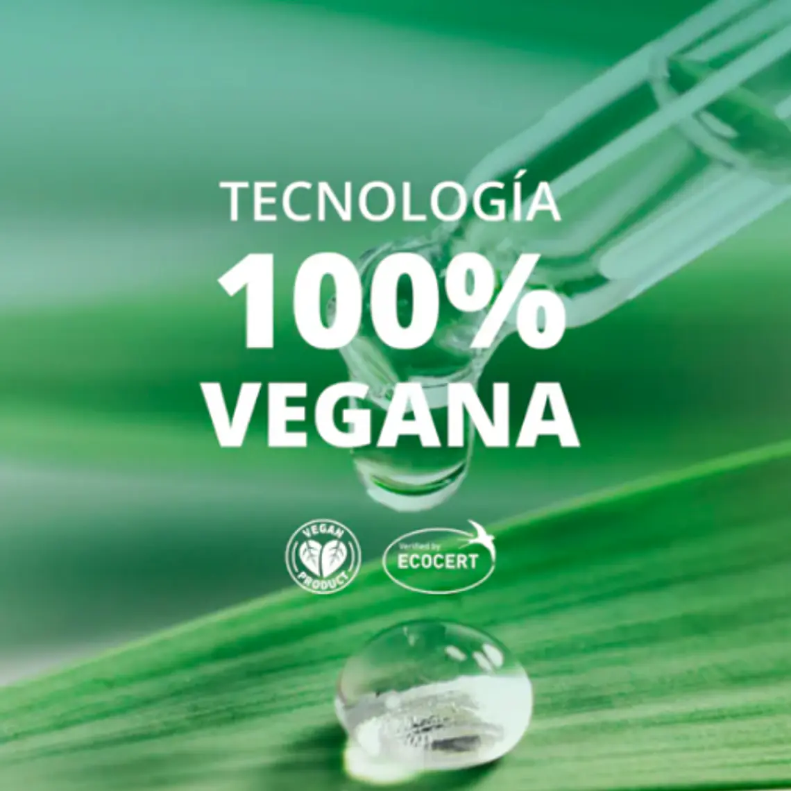 CREMA ANTIARRUGAS Y FIMEZA NOCHE I MATCHA PERFECT SKIN REFINER 30 ML (VENCIMIENTO: OCTUBRE 2027) 2