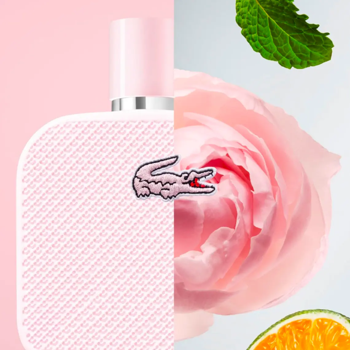 LACOSTE - L1212 ROSE EAU DE PARFUM (50 ML) / MUJER 3