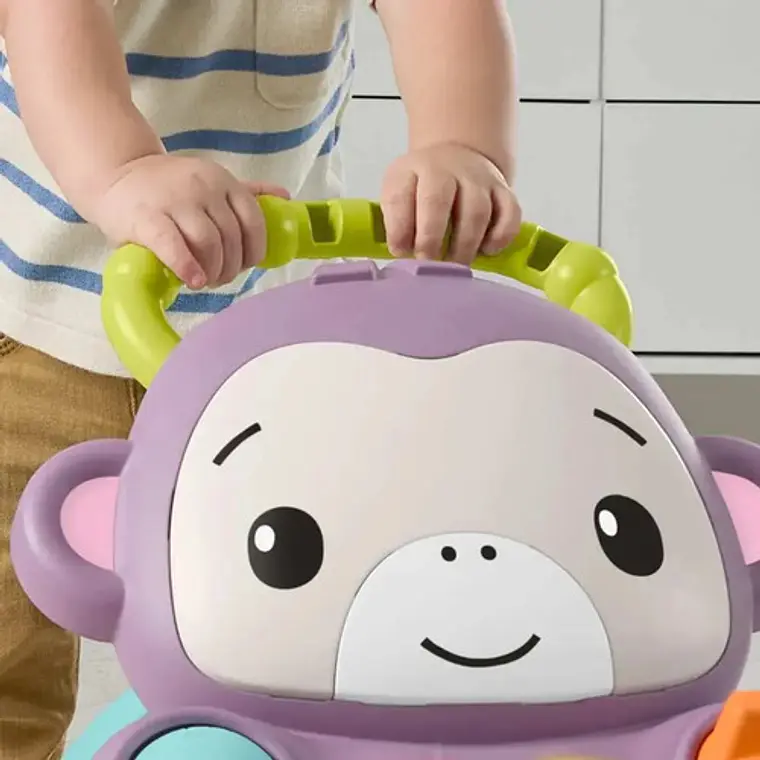FISHER-PRICE ANDADERA PARA BEBÉS MONO 5