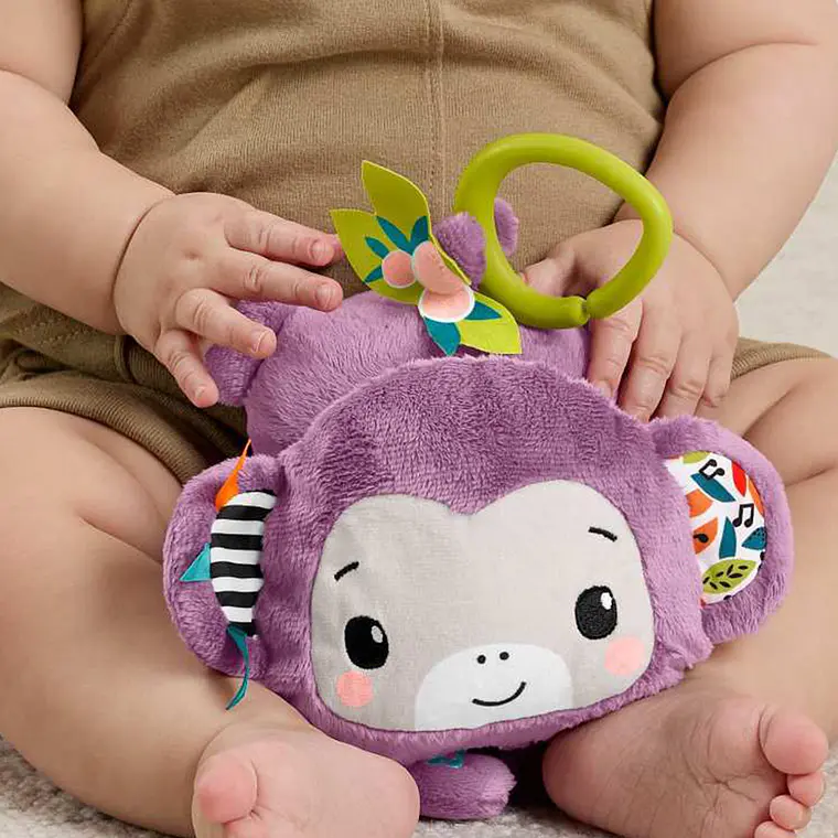 FISHER-PRICE CHANGUITO MUSICAL 5
