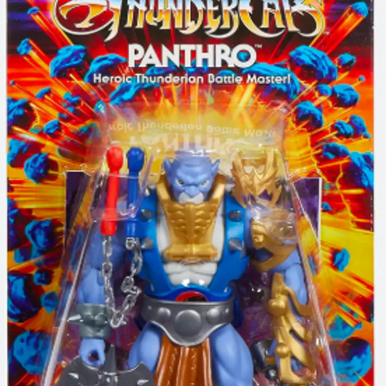 FIGURA THUNDERCATS MOTU 5.5 6 AÑOS EN ADELANTE - PANTRO 2