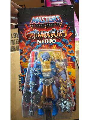 FIGURA THUNDERCATS MOTU 5.5 6 AÑOS EN ADELANTE - PANTRO