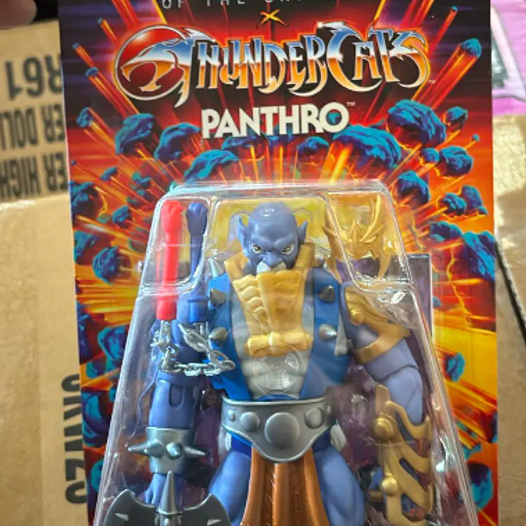 FIGURA THUNDERCATS MOTU 5.5 6 AÑOS EN ADELANTE - PANTRO 1