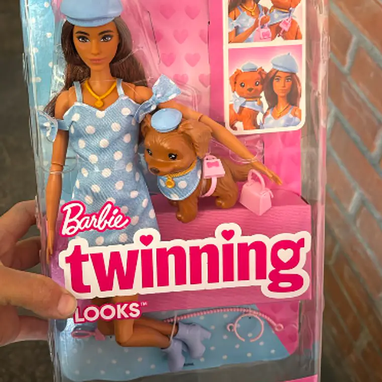 BARBIE FASHION BEAUTY MUÑECA LOOKS IGUALES TERESA Y PERRITO 1