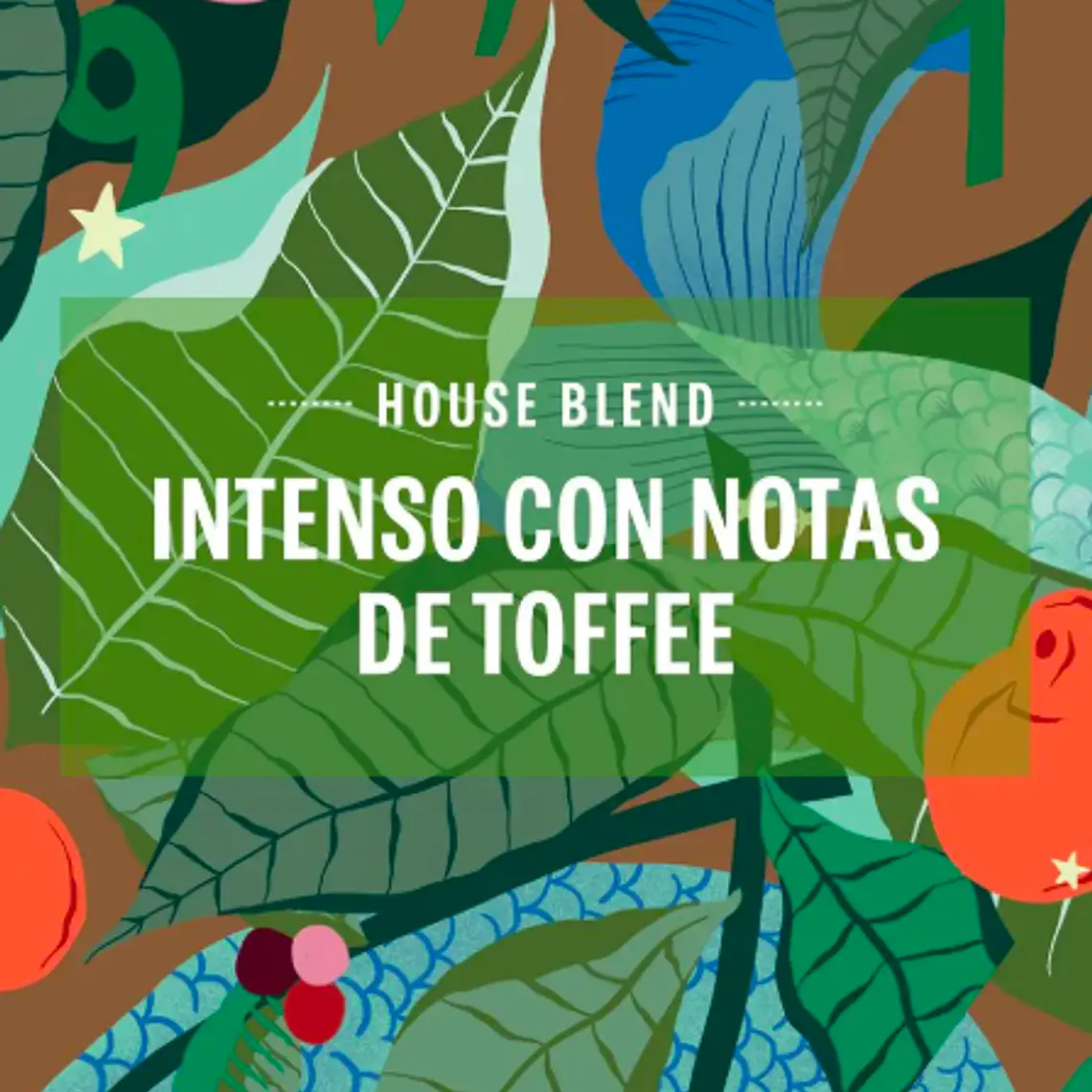 PACK 12 CAJAS (120 CÁPSULAS) STARBUCKS BY HOUSE BLEND LUNGO - $4.165 POR CAJA (VENCE DESDE: 18-08-2026) 4