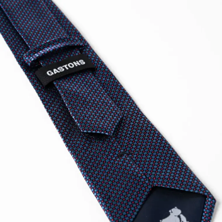 CORBATA SEDA MODELO BIMBA 3