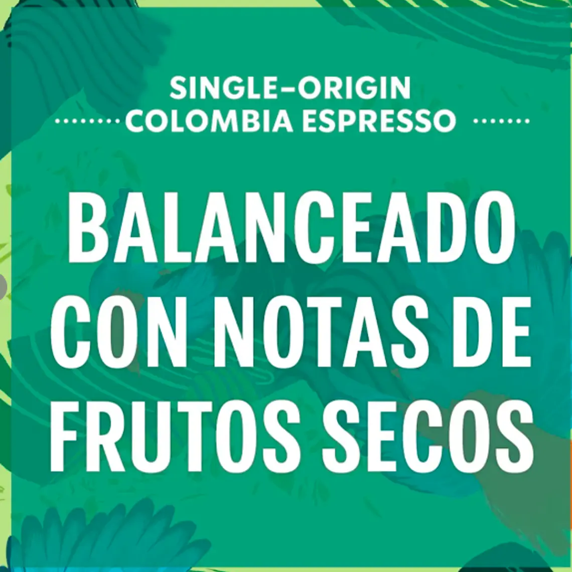 PACK 3 CAJAS (36 CÁPSULAS) STARBUCKS DOLCE GUSTO ESPRESSO COLOMBIA - $5.663 POR CAJA (VENCE: 31-07-26) 3