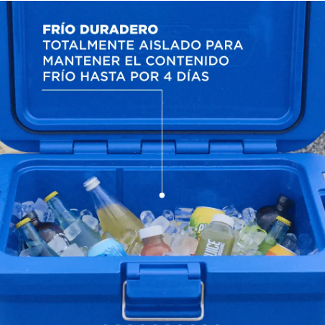 COOLER COLEMAN PRO 45QT/43LTS NEPTUNE (43.61 x 41.6 x 62.3 cm) 5