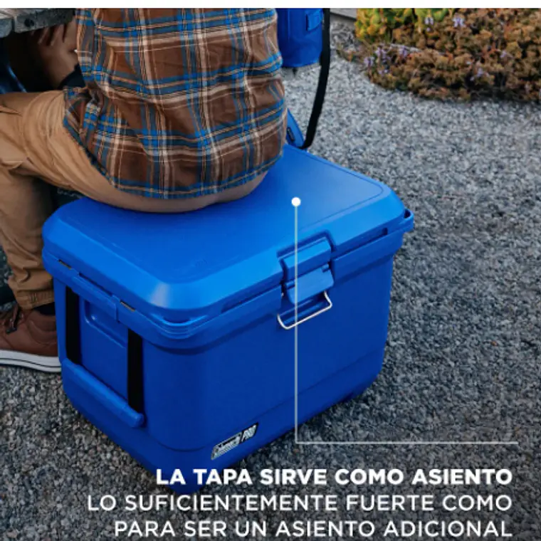 COOLER COLEMAN PRO 45QT/43LTS NEPTUNE (43.61 x 41.6 x 62.3 cm) 7