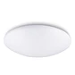 PLAFÓN MINI ANDES LED 18W LUZ CÁLIDA - Miniatura 1