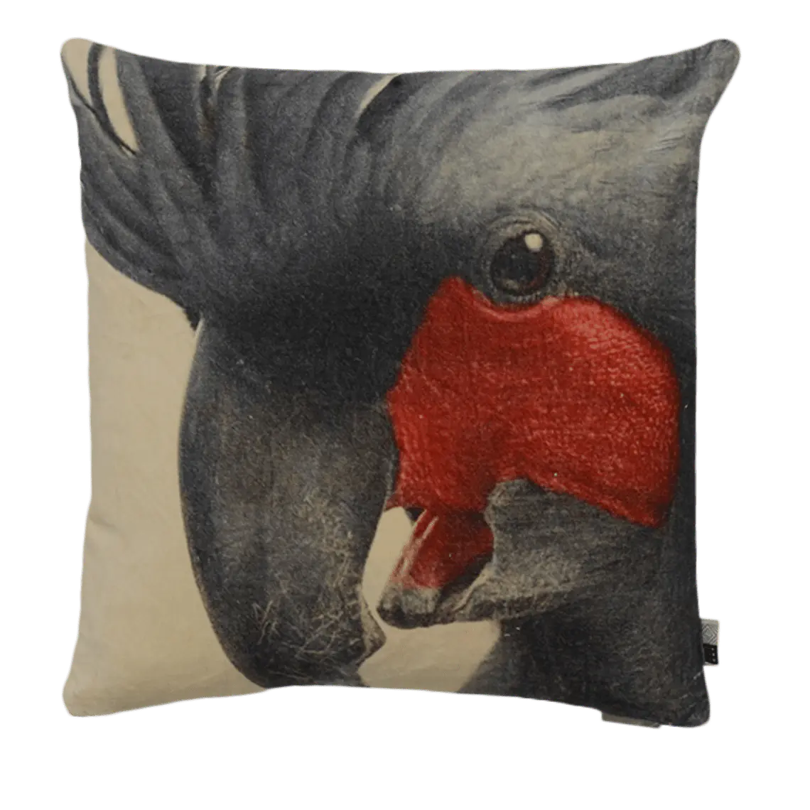 COJÍN - TERCIOPELO ESTAMPADO PAPAGALLO (50 X 50 CM)  1