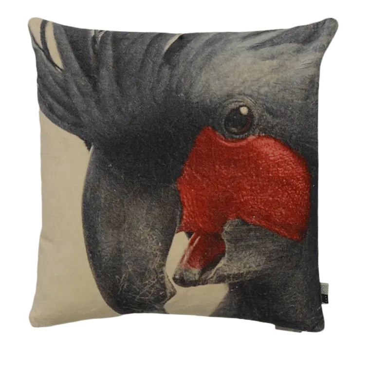 COJÍN - TERCIOPELO ESTAMPADO PAPAGALLO (50 X 50 CM)  1