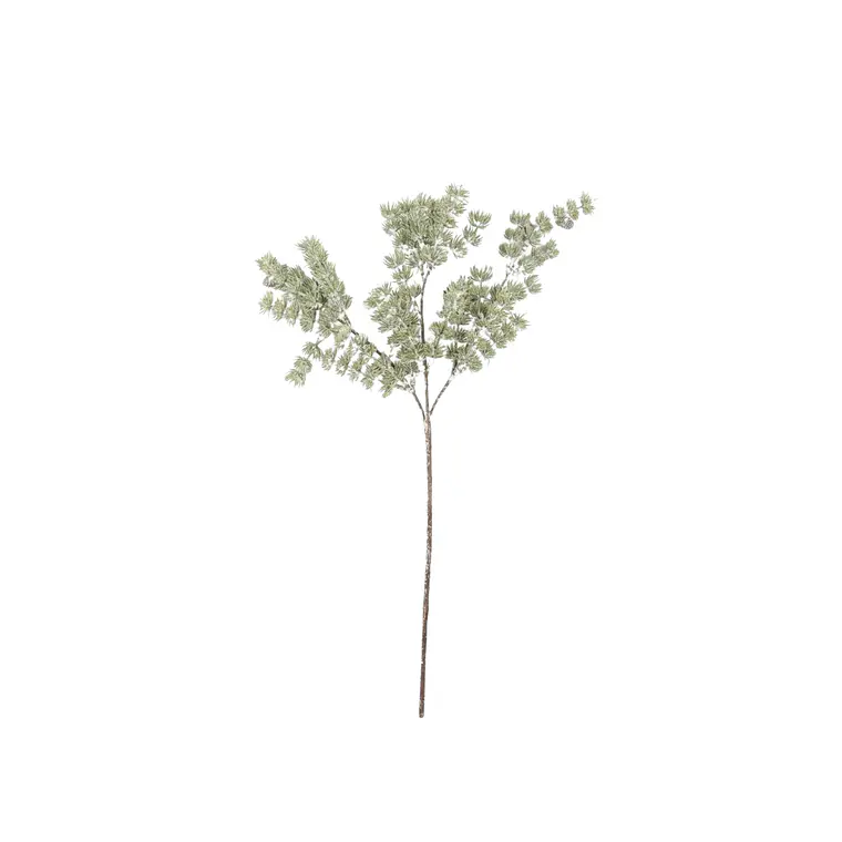 RAMA DE PINO (30H CM) 1