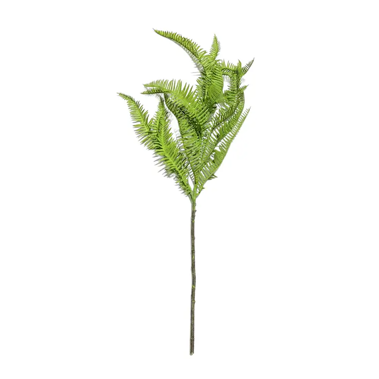 RAMAS Y FLORES - HELECHO TROPICAL (53H CM) 1