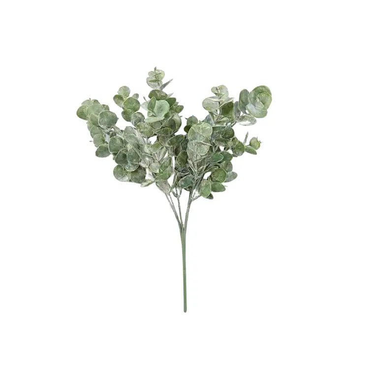 RAMO EUCALIPTO S (35H CM) 1