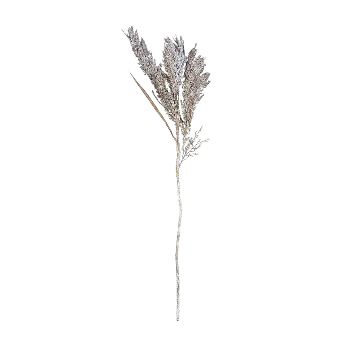 RAMA PASTO MEDIANA CAFÉ (70H CM) 1
