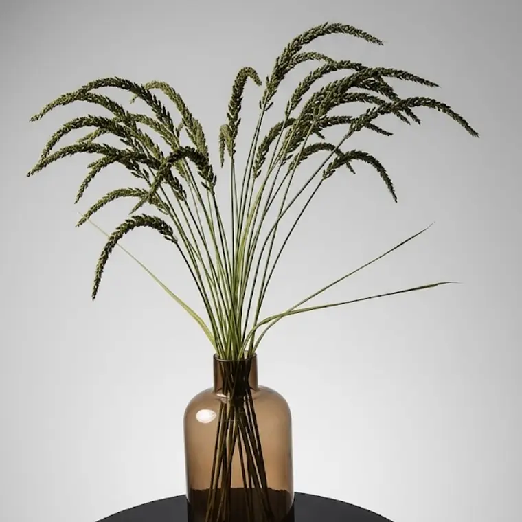 RAMA WHEAT SPRAY (100H CM) 2