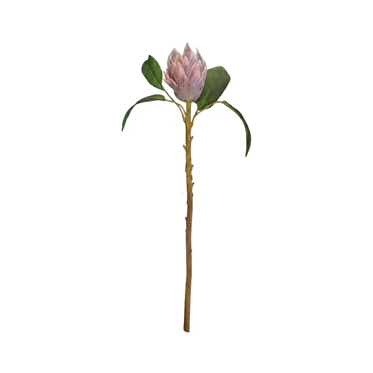 RAMA FLOR PROTEA MORADA M (51H CM) 1