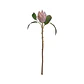 RAMA FLOR PROTEA MORADA M (51H CM) - Miniatura 1