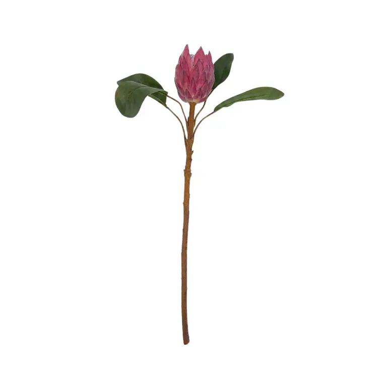 RAMA FLOR PROTEA ROSADA M (51H CM) 1