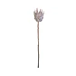 RAMAS Y FLORES - PROTEA SECA (51H CM) - Miniatura 1