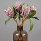 RAMA FLOR PROTEA MORADA M (51H CM) - Miniatura 2